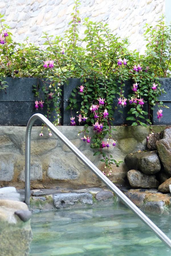 Hotel Termales Tierra Viva La Enea エクステリア 写真
